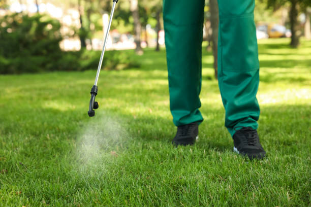 Best Wasp Removal Services  in Lino Lakes, MN