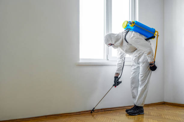 Best Termite Control Services  in Lino Lakes, MN