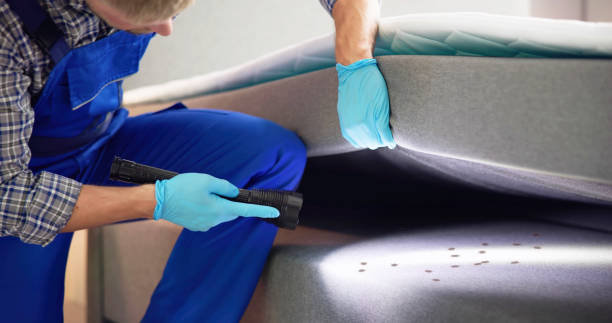 Best Exterminator Services  in Lino Lakes, MN