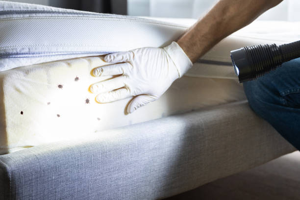 Pest Prevention Services in Lino Lakes, MN