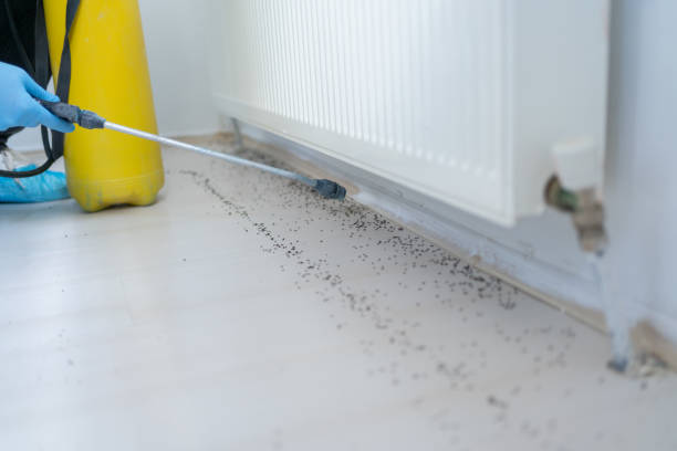 Best Affordable Pest Control Services  in Lino Lakes, MN