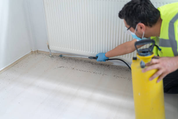 Pest Prevention Services in Lino Lakes, MN