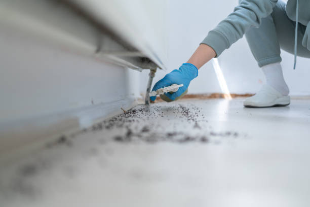 Best Pest Control Near Me in Lino Lakes, MN