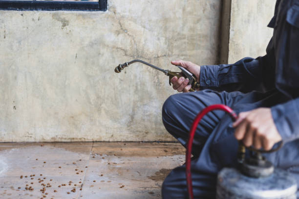 Best Best Pest Control Companies  in Lino Lakes, MN