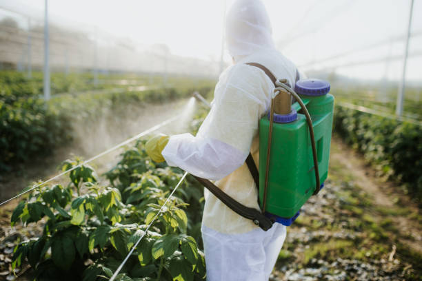 Best Pest Control for Homes  in Lino Lakes, MN